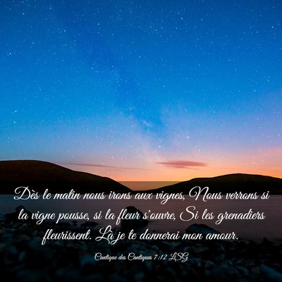 Picture 03 - Cantique des Cantiques 7:12 LSG - Dès le matin nous irons aux vignes, Nous verrons - Bible Verse Picture
