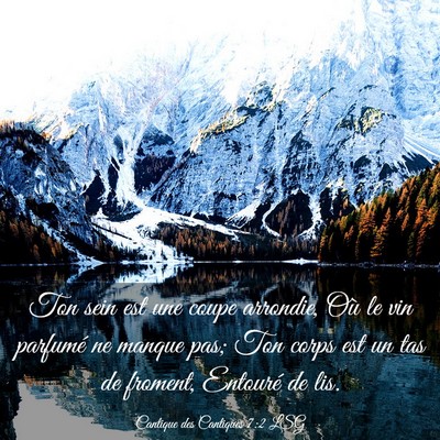 Picture 03 - Cantique des Cantiques 7:2 LSG - Ton sein est une coupe arrondie, Où le vin - Bible Verse Picture