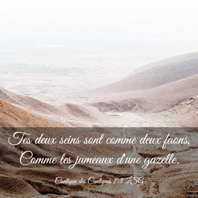 Picture 03 - Cantique des Cantiques 7:3 LSG - Tes deux seins sont comme deux faons, Comme les - Bible Verse Picture