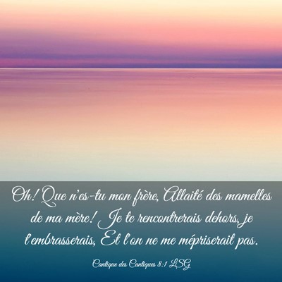 Picture 03 - Cantique des Cantiques 8:1 LSG - Oh! Que n'es-tu mon frère, Allaité des mamelles - Bible Verse Picture