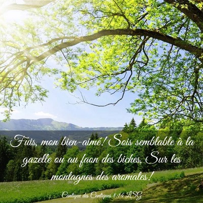 Picture 03 - Cantique des Cantiques 8:14 LSG - Fuis, mon bien-aimé! Sois semblable à la - Bible Verse Picture