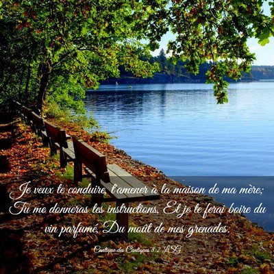 Picture 03 - Cantique des Cantiques 8:2 LSG - Je veux te conduire, t'amener à la maison de ma - Bible Verse Picture