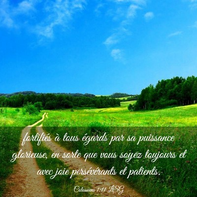 Picture 03 - Colossiens 1:11 LSG - fortifiés à tous égards par sa puissance - Bible Verse Picture