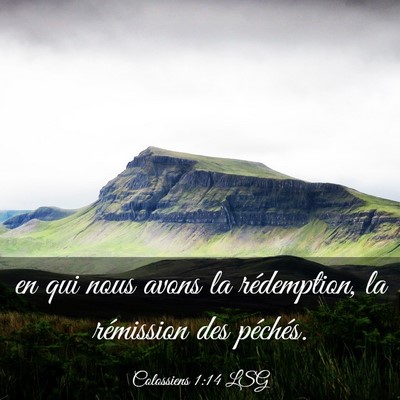 Picture 03 - Colossiens 1:14 LSG - en qui nous avons la rédemption, la rémission - Bible Verse Picture