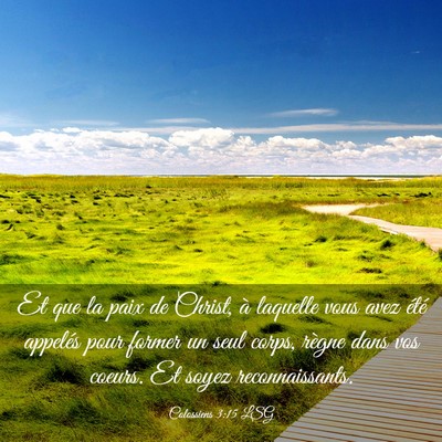 Picture 03 - Colossiens 3:15 LSG - Et que la paix de Christ, à laquelle vous avez - Bible Verse Picture