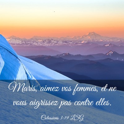 Picture 03 - Colossiens 3:19 LSG - Maris, aimez vos femmes, et ne vous aigrissez pas - Bible Verse Picture