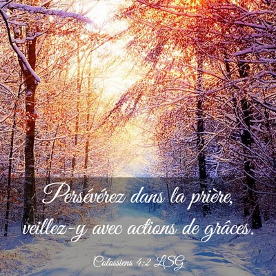 Picture 03 - Colossiens 4:2 LSG - Persévérez dans la prière, veillez-y avec - Bible Verse Picture