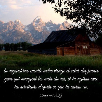 Picture 03 - Daniel 1:13 LSG - tu regarderas ensuite notre visage et celui des - Bible Verse Picture