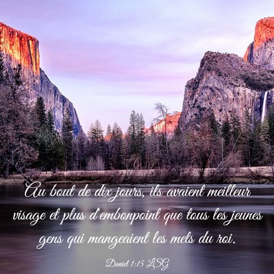 Picture 03 - Daniel 1:15 LSG - Au bout de dix jours, ils avaient meilleur visage - Bible Verse Picture