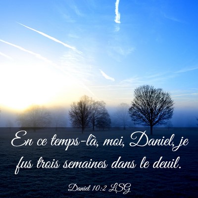 Picture 03 - Daniel 10:2 LSG - En ce temps-là, moi, Daniel, je fus trois - Bible Verse Picture