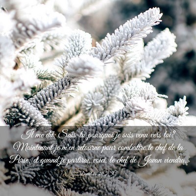 Picture 03 - Daniel 10:20 LSG - Il me dit: Sais-tu pourquoi je suis venu vers - Bible Verse Picture