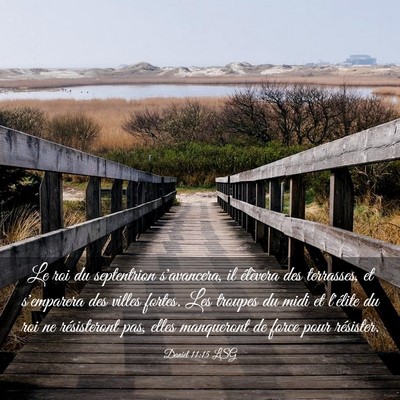 Picture 03 - Daniel 11:15 LSG - Le roi du septentrion s'avancera, il élèvera - Bible Verse Picture