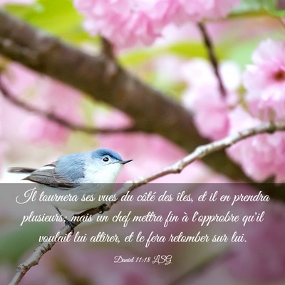 Picture 03 - Daniel 11:18 LSG - Il tournera ses vues du côté des îles, et il - Bible Verse Picture