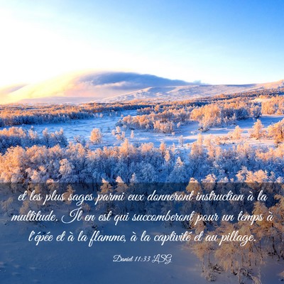 Picture 03 - Daniel 11:33 LSG - et les plus sages parmi eux donneront instruction - Bible Verse Picture