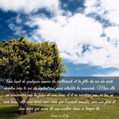 Picture 03 - Daniel 11:6 LSG - Au bout de quelques années ils s'allieront, et - Bible Verse Picture
