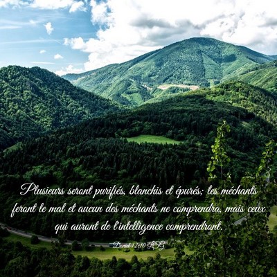 Picture 03 - Daniel 12:10 LSG - Plusieurs seront purifiés, blanchis et épurés; - Bible Verse Picture