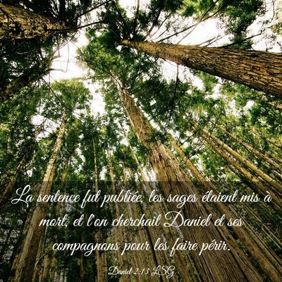 Picture 03 - Daniel 2:13 LSG - La sentence fut publiée, les sages étaient mis - Bible Verse Picture