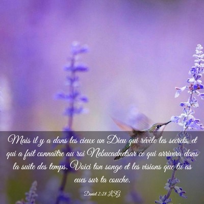 Picture 03 - Daniel 2:28 LSG - Mais il y a dans les cieux un Dieu qui révèle - Bible Verse Picture