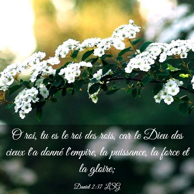 Picture 03 - Daniel 2:37 LSG - O roi, tu es le roi des rois, car le Dieu des - Bible Verse Picture