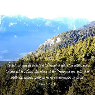 Picture 03 - Daniel 2:47 LSG - Le roi adressa la parole à Daniel et dit: En - Bible Verse Picture