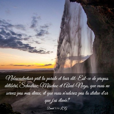 Picture 03 - Daniel 3:14 LSG - Nebucadnetsar prit la parole et leur dit: Est-ce - Bible Verse Picture