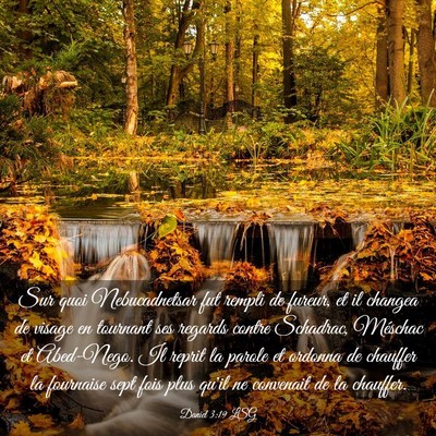 Picture 03 - Daniel 3:19 LSG - Sur quoi Nebucadnetsar fut rempli de fureur, et - Bible Verse Picture