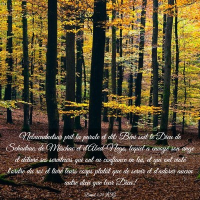 Picture 03 - Daniel 3:28 LSG - Nebucadnetsar prit la parole et dit: Béni soit - Bible Verse Picture