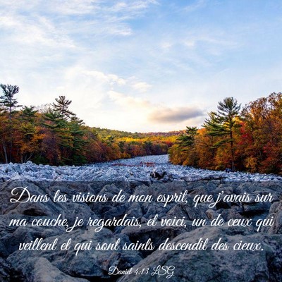 Picture 03 - Daniel 4:13 LSG - Dans les visions de mon esprit, que j'avais sur - Bible Verse Picture