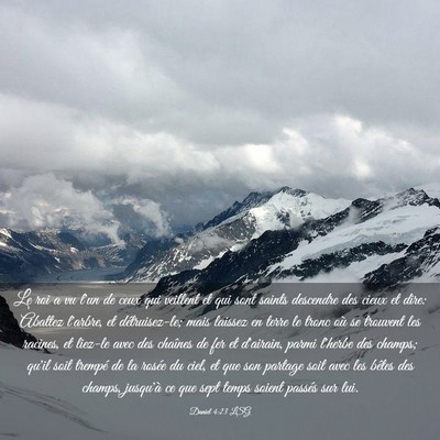 Picture 03 - Daniel 4:23 LSG - Le roi a vu l'un de ceux qui veillent et qui sont - Bible Verse Picture