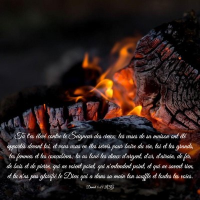 Picture 03 - Daniel 5:23 LSG - Tu t'es élevé contre le Seigneur des cieux; les - Bible Verse Picture
