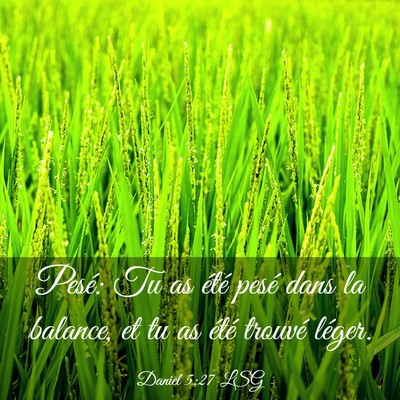 Picture 03 - Daniel 5:27 LSG - Pesé: Tu as été pesé dans la balance, et tu - Bible Verse Picture