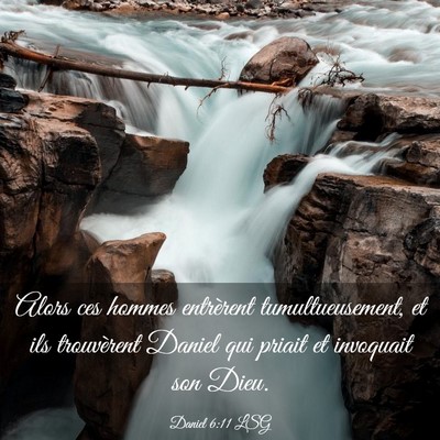 Picture 03 - Daniel 6:11 LSG - Alors ces hommes entrèrent tumultueusement, et - Bible Verse Picture