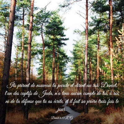Picture 03 - Daniel 6:13 LSG - Ils prirent de nouveau la parole et dirent au - Bible Verse Picture
