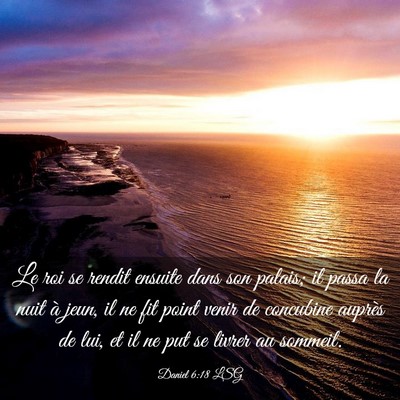 Picture 03 - Daniel 6:18 LSG - Le roi se rendit ensuite dans son palais; il - Bible Verse Picture