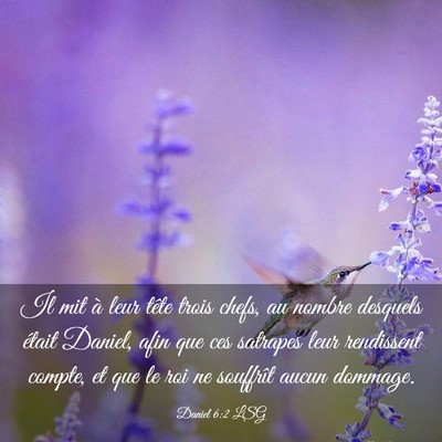 Picture 03 - Daniel 6:2 LSG - Il mit à leur tête trois chefs, au nombre - Bible Verse Picture