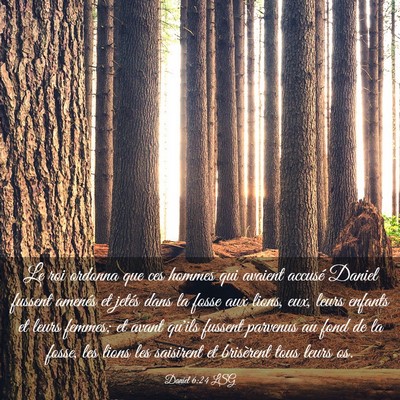 Picture 03 - Daniel 6:24 LSG - Le roi ordonna que ces hommes qui avaient accusé - Bible Verse Picture