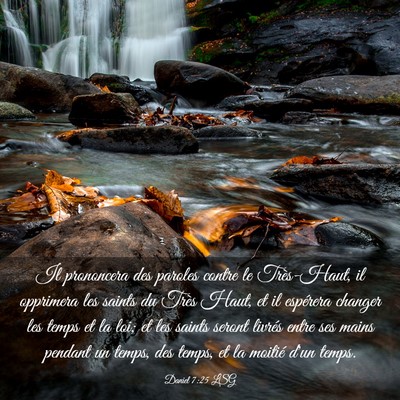 Picture 03 - Daniel 7:25 LSG - Il prononcera des paroles contre le Très-Haut, - Bible Verse Picture