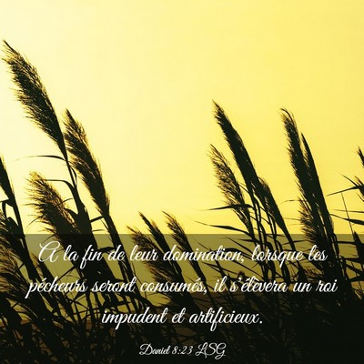 Picture 03 - Daniel 8:23 LSG - A la fin de leur domination, lorsque les - Bible Verse Picture