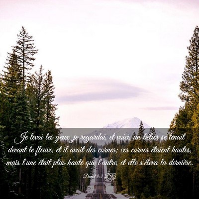 Picture 03 - Daniel 8:3 LSG - Je levai les yeux, je regardai, et voici, un - Bible Verse Picture