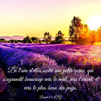 Picture 03 - Daniel 8:9 LSG - De l'une d'elles sortit une petite corne, qui - Bible Verse Picture