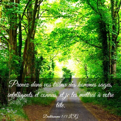 Picture 03 - Deutéronome 1:13 LSG - Prenez dans vos tribus des hommes sages, - Bible Verse Picture