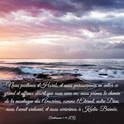Picture 03 - Deutéronome 1:19 LSG - Nous partîmes d'Horeb, et nous parcourûmes en - Bible Verse Picture