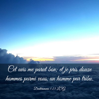 Picture 03 - Deutéronome 1:23 LSG - Cet avis me parut bon; et je pris douze hommes - Bible Verse Picture