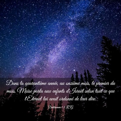 Picture 03 - Deutéronome 1:3 LSG - Dans la quarantième année, au onzième mois, le - Bible Verse Picture