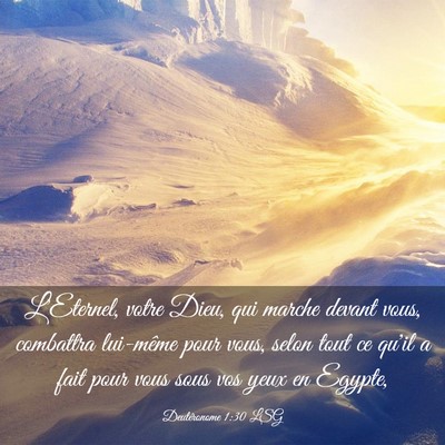 Picture 03 - Deutéronome 1:30 LSG - L'Eternel, votre Dieu, qui marche devant vous, - Bible Verse Picture