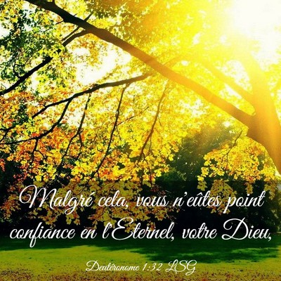 Picture 03 - Deutéronome 1:32 LSG - Malgré cela, vous n'eûtes point confiance en - Bible Verse Picture