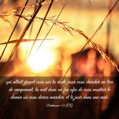 Picture 03 - Deutéronome 1:33 LSG - qui allait devant vous sur la route pour vous - Bible Verse Picture