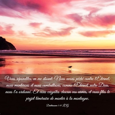 Picture 03 - Deutéronome 1:41 LSG - Vous répondîtes, en me disant: Nous avons - Bible Verse Picture