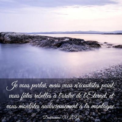 Picture 03 - Deutéronome 1:43 LSG - Je vous parlai, mais vous n'écoutâtes point; - Bible Verse Picture