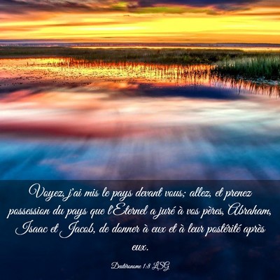 Picture 03 - Deutéronome 1:8 LSG - Voyez, j'ai mis le pays devant vous; allez, et - Bible Verse Picture